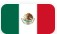Mexico flag